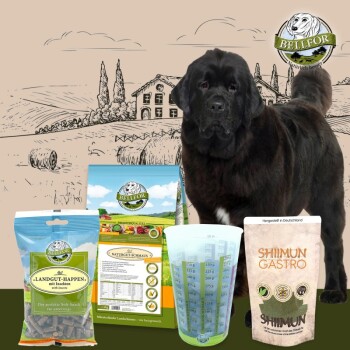 Bellfor Futterset für große Hunde mit Verdauungsbeschwerden Hundefutter - Trockenfutter Produktbild