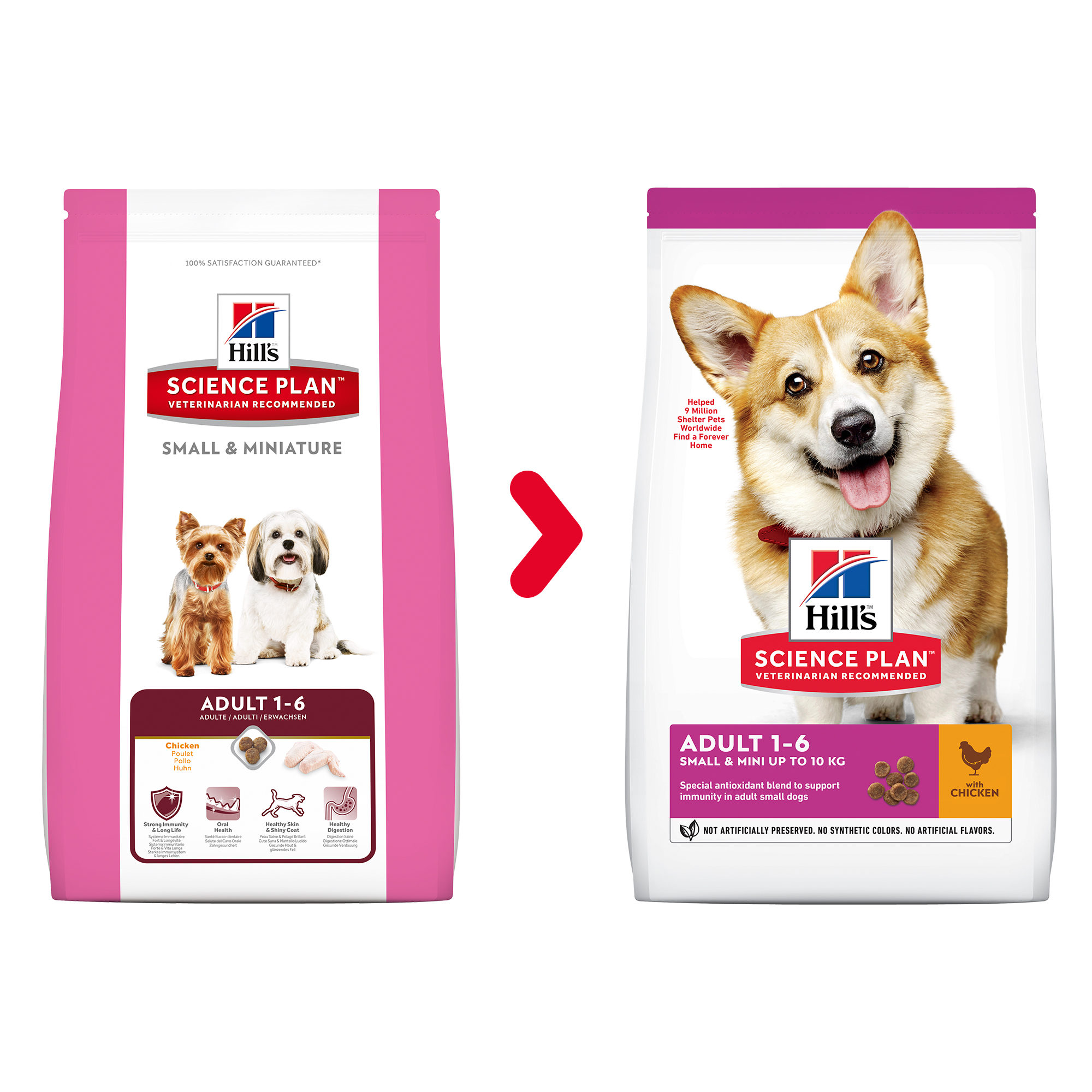 Hill's Science Plan Advanced Fitness Adult Small & Miniature Hundefutter - Huhn - 3 kg Hundefutter - Trockenfutter online kaufen Hill's Science Plan Advanced Fitness Adult Small & Miniature Hundefutter - Huhn - 3 kg Hundefutter - Trockenfutter online kaufen