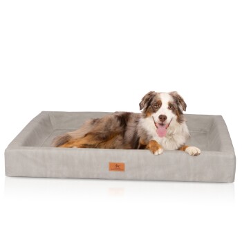 Knuffelwuff orthopädisches Hundebett Austin aus Kunstleder grau XXL Hundebetten, Hundesofas, Hundekissen, Hundematten online kaufen
