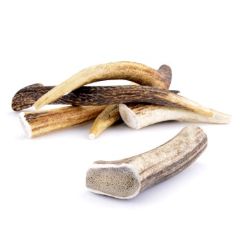 Larsson Geweih L ca. 120-160g Hundesnacks / Leckerlies online kaufen