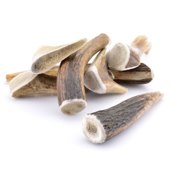 Larsson Geweih S ca. 50-80g Hundesnacks / Leckerlies online kaufen