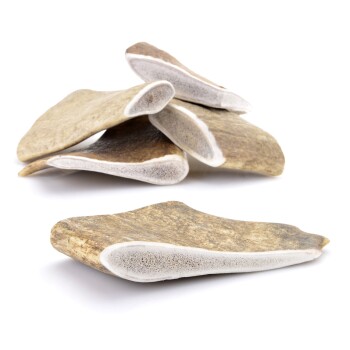 Larsson Geweih Schäufle L ca. 120-180g Hundesnacks / Leckerlies online kaufen
