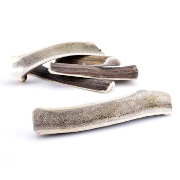 Larsson halbiertes Geweih L ca. 120-180g Hundesnacks / Leckerlies online kaufen Larsson halbiertes Geweih L ca. 120-180g Hundesnacks / Leckerlies online kaufen