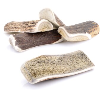 Larsson halbiertes Geweih S ca. 50-80g Hundesnacks / Leckerlies online kaufen Larsson halbiertes Geweih S ca. 50-80g Hundesnacks / Leckerlies online kaufen