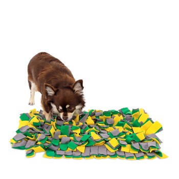 Lionto Schnüffelteppich für Hunde gelb/ grün ⚽ Hundespielzeug online kaufen Lionto Schnüffelteppich für Hunde gelb/ grün ⚽ Hundespielzeug online kaufen