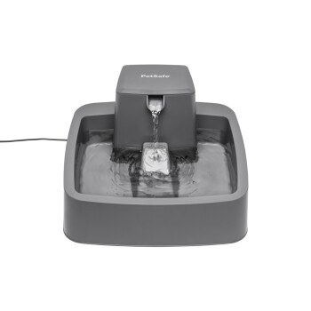 PetSafe Trinkbrunnen 3,7 l Hunde-Futterautomaten & Trinkbrunnen online kaufen