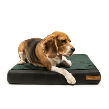 Rexproduct ORI Orthopädische Matratze dunkelgrün L Hundebetten, Hundesofas, Hundekissen, Hundematten online kaufen Rexproduct ORI Orthopädische Matratze dunkelgrün L Hundebetten, Hundesofas, Hundekissen, Hundematten online kaufen
