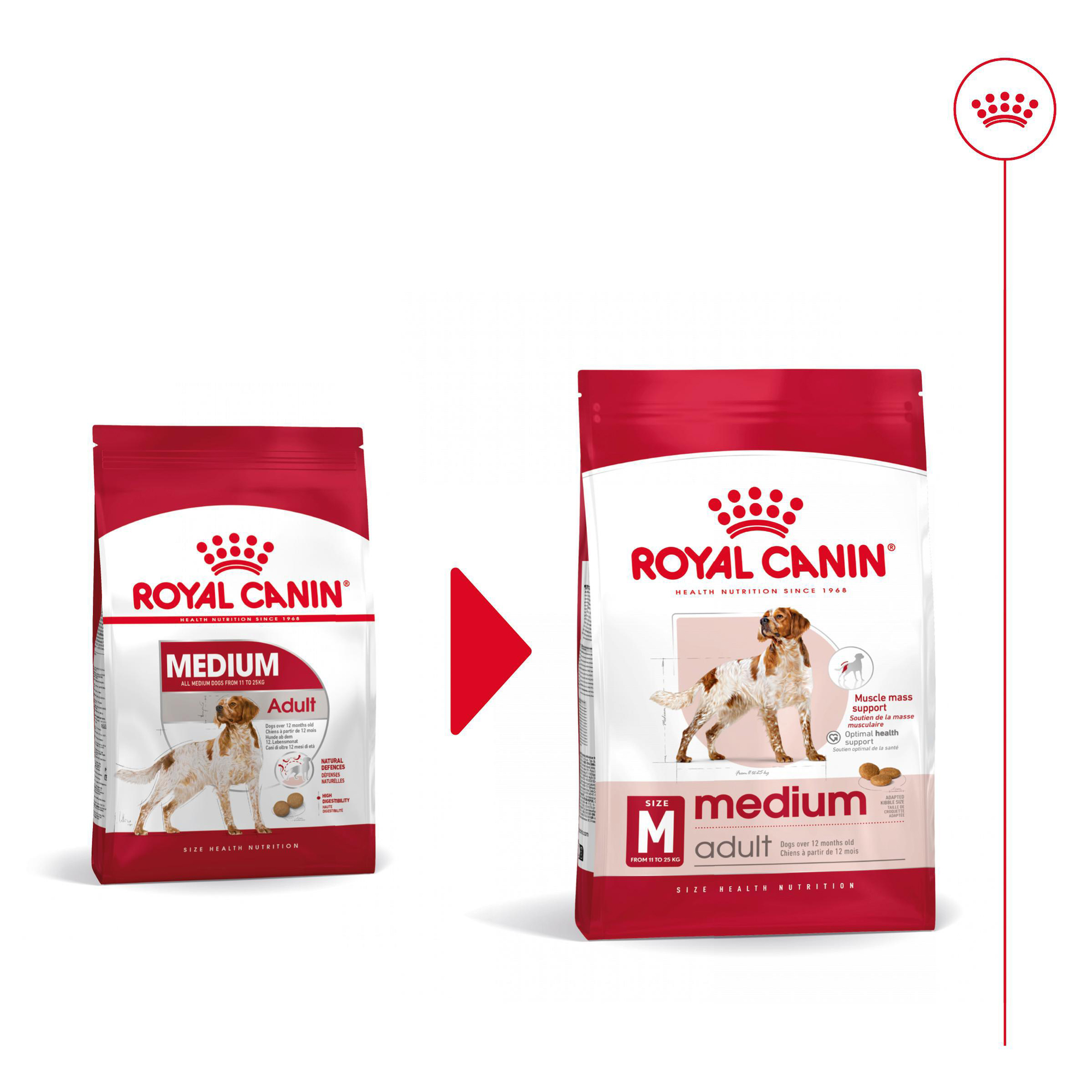 Royal Canin Medium Adult Hundefutter - 10 kg Hundefutter - Trockenfutter online kaufen Royal Canin Medium Adult Hundefutter - 10 kg Hundefutter - Trockenfutter online kaufen