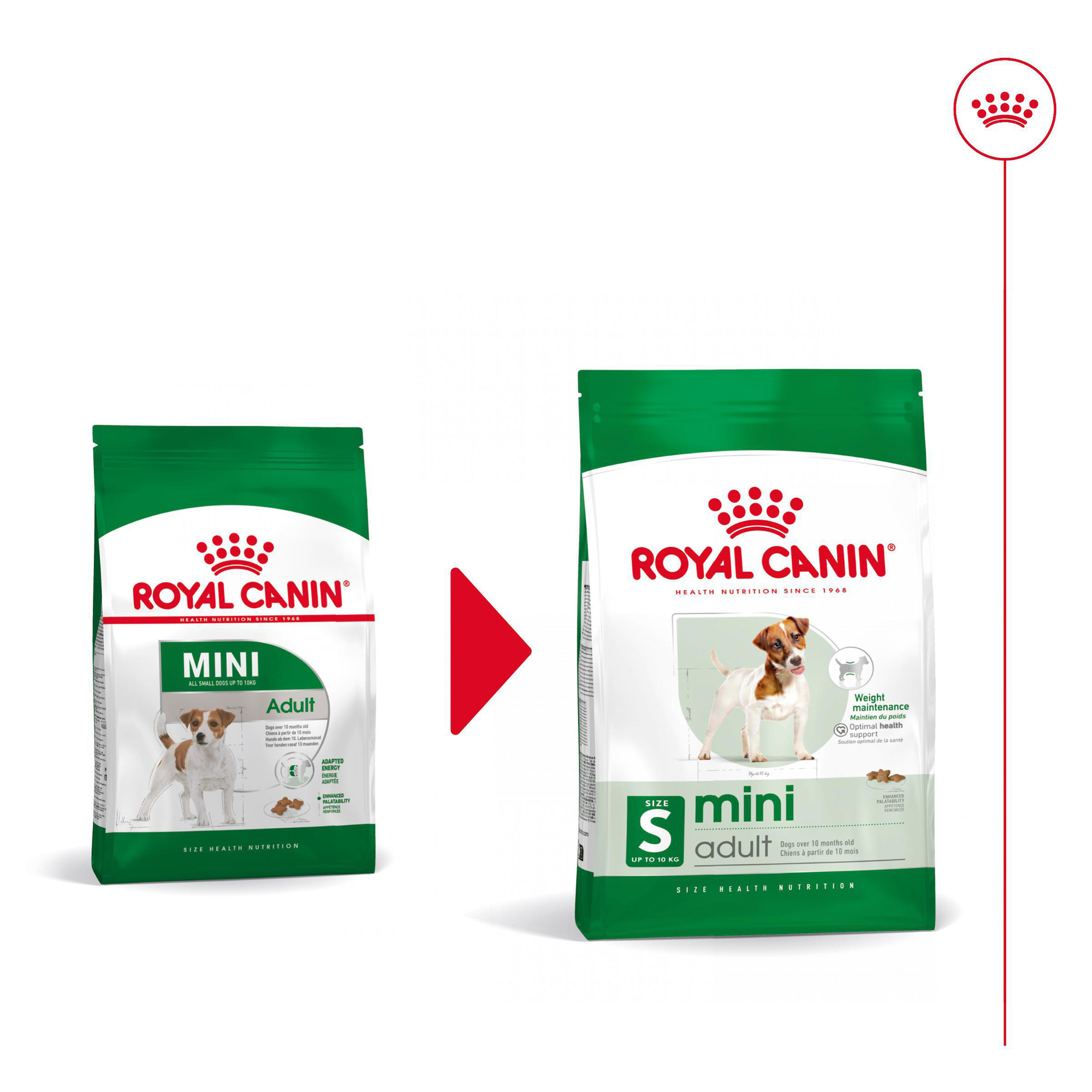 Royal Canin Mini Adult Hundefutter - 2 kg Hundefutter - Trockenfutter online kaufen
